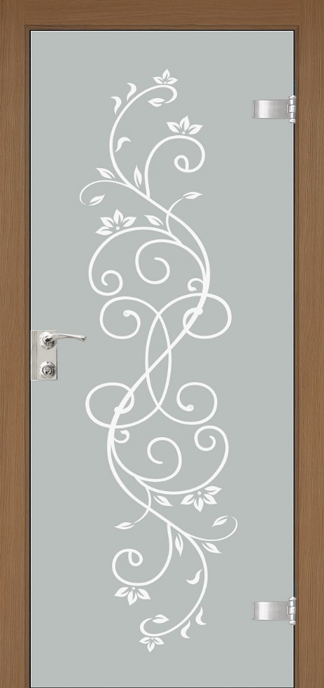 glass_door43