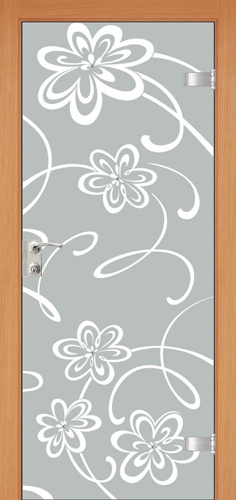 glass_door32