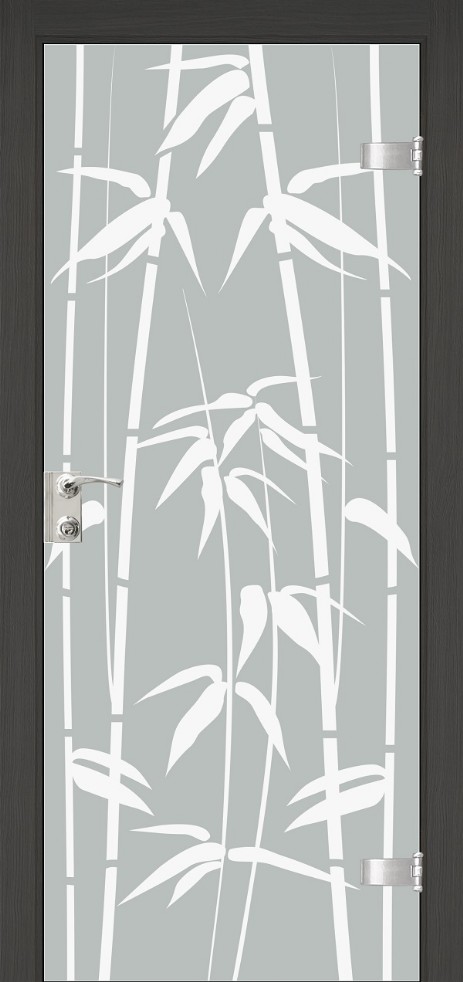 glass_door31