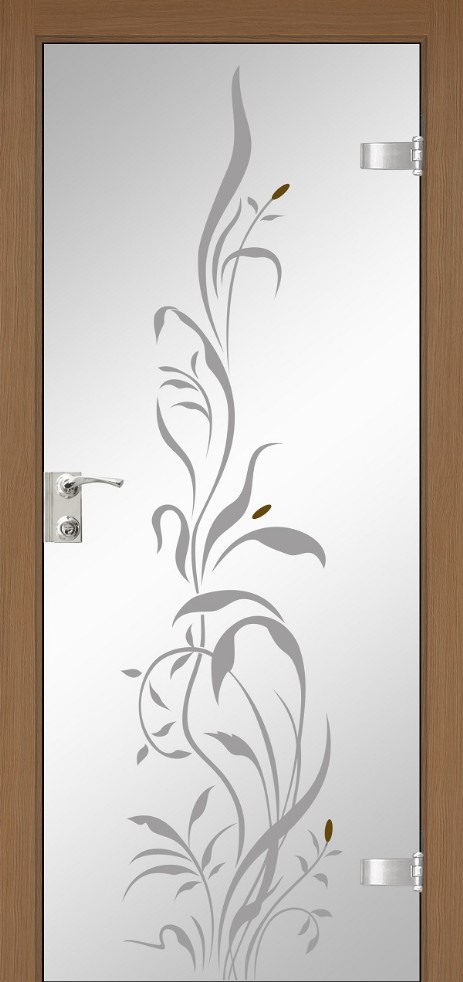 glass_door26