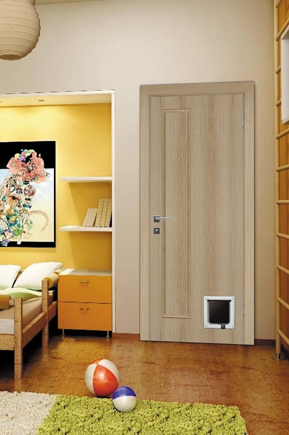 door_for_cat