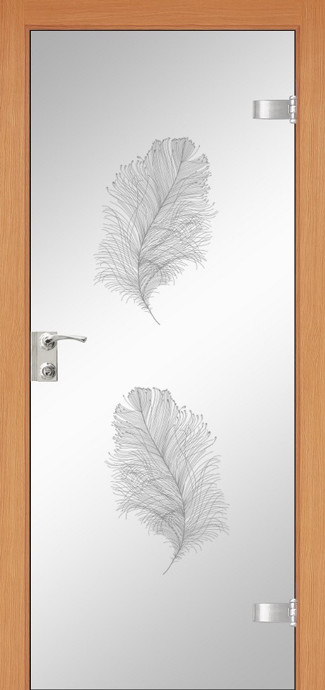 glass_door2