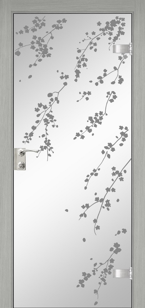 glass_door3